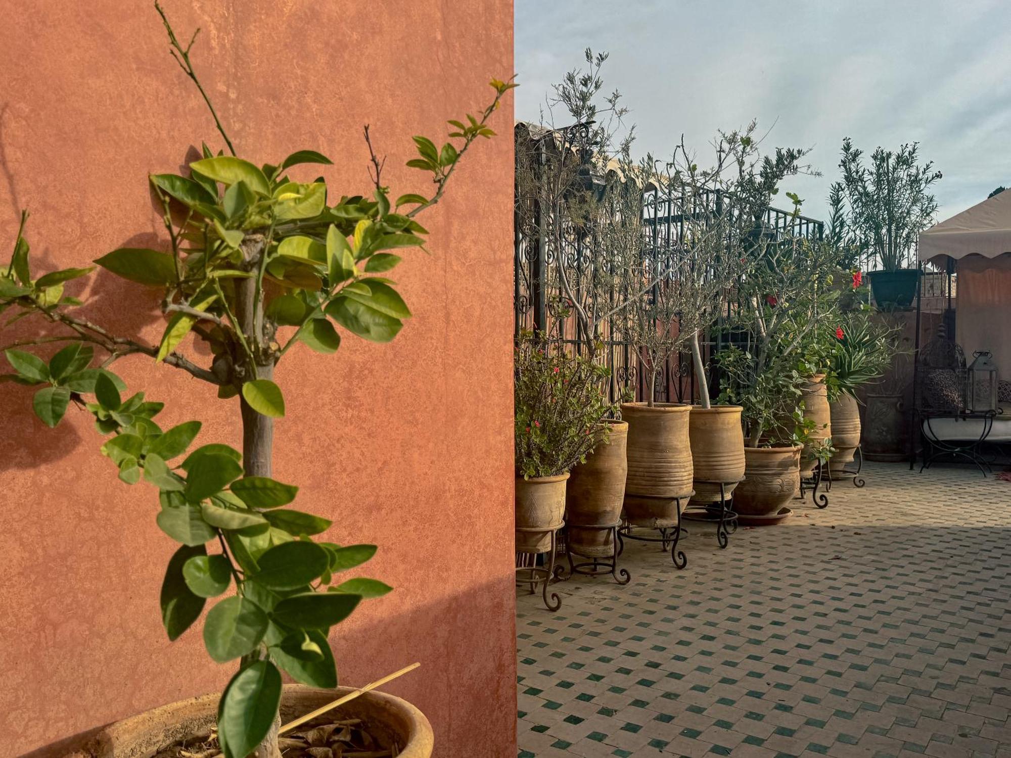 Riad Lapis-Lazuli Marraquexe Exterior foto